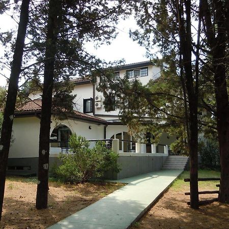 Hotel Park Visici Bagian luar foto